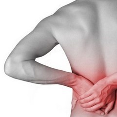 the cause of back pain
